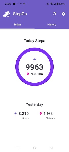 StepGo main dashboard