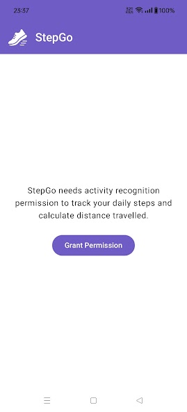 StepGo daily stats